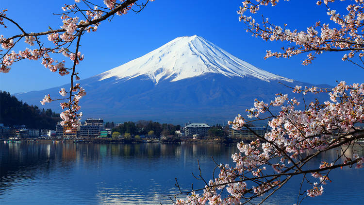 Hike Mount Fuji	