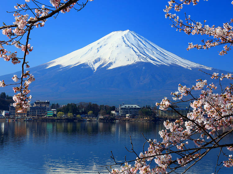 Hike Mount Fuji	