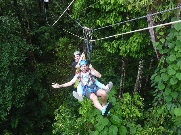 Jungle Surfing Daintree Rainforest Jungle surfing in the Daintree Rainforest