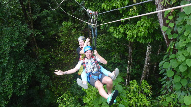 Swing from the trees and sleep under an ancient canopy