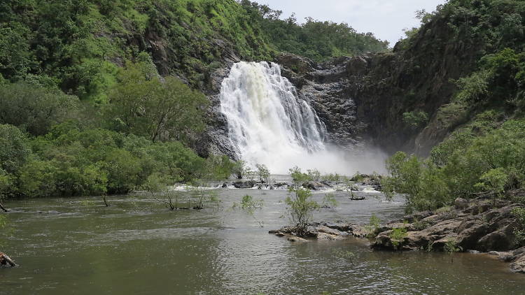 Discover the Indigenous significance of the Daintree