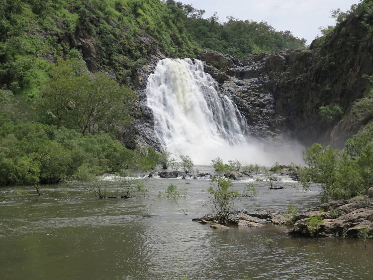 Discover the Indigenous significance of the Daintree