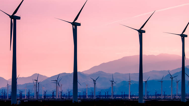 San Gorgonio Wind Farm