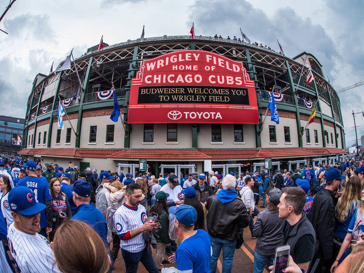 Hop on the Brown Line, Cubs fans