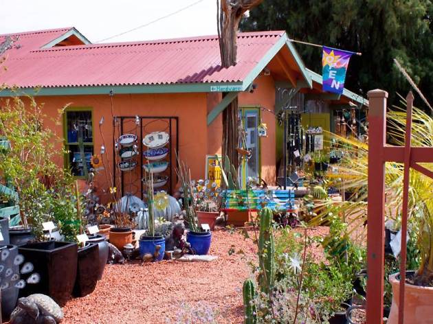 Cactus Mart Cactus Mart
