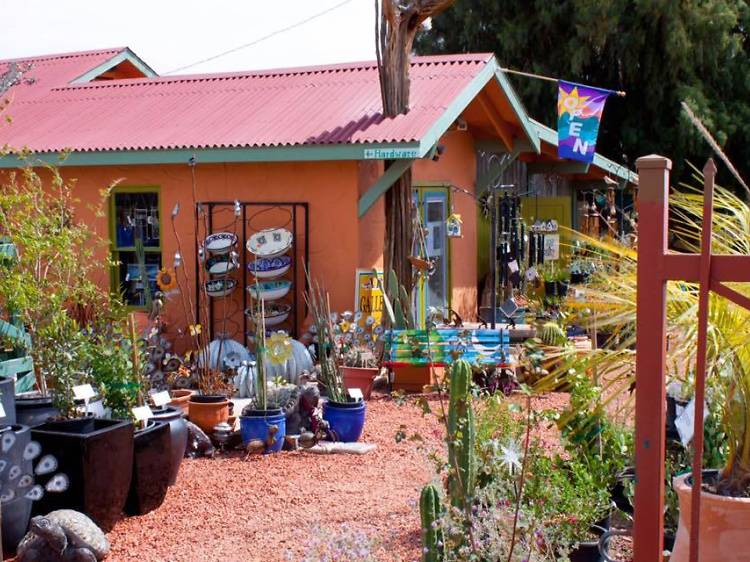 Garden Store & Nursery — Cactus Joe's Desert Garden & Nursery Las