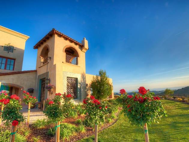 DAOU Vineyards & Winery DAOU Vineyards & Winery