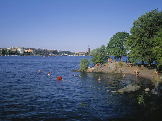 Dive into Stockholm’s water Dive into Stockholm’s water
