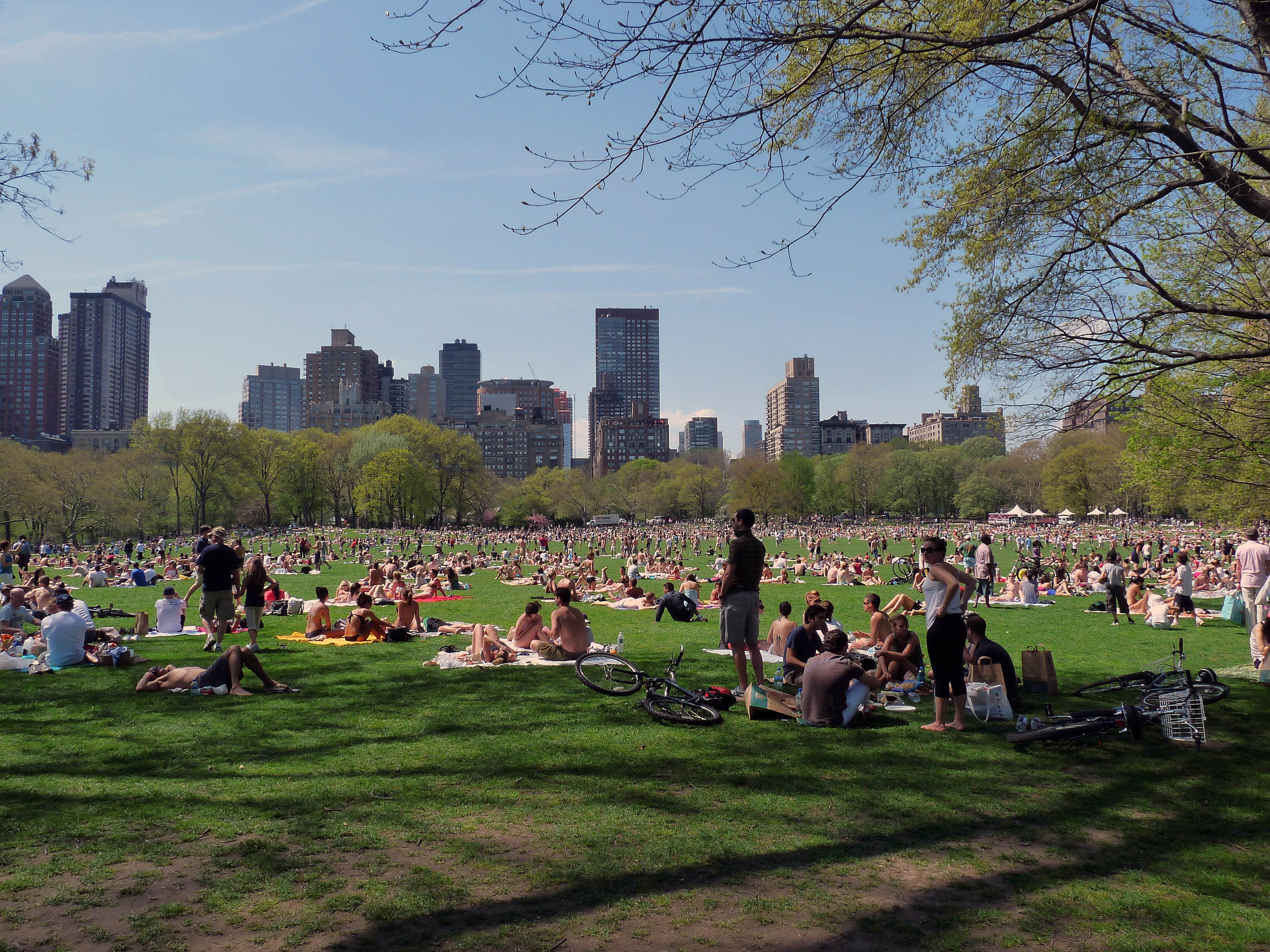 The Five Best Free Things To Do In NYC This Week