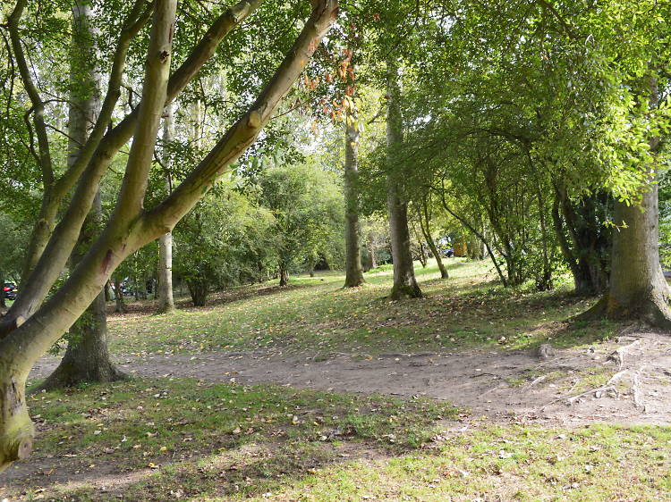 The Orchard Campsite, Suffolk