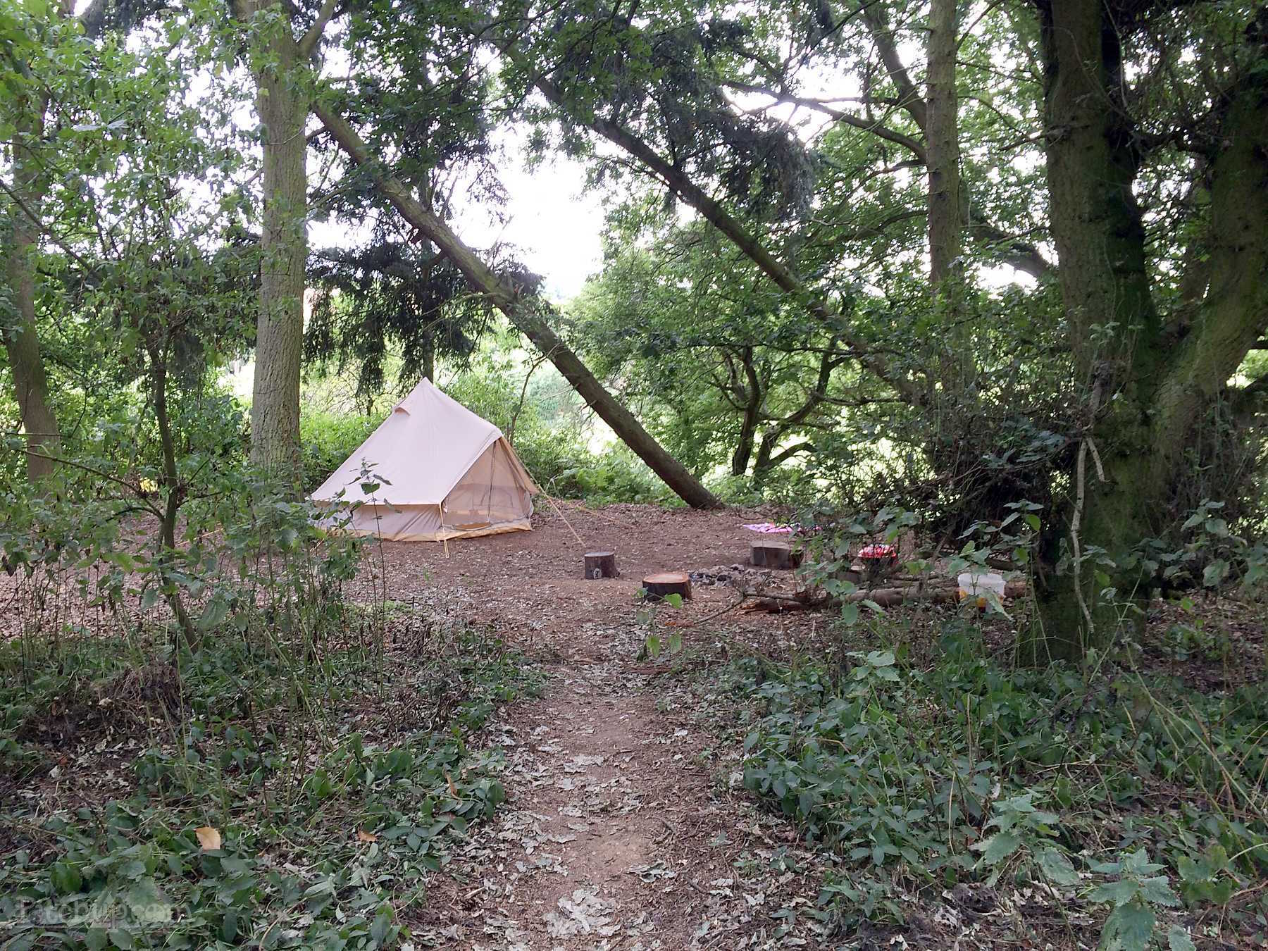 10++ Forest Camping London