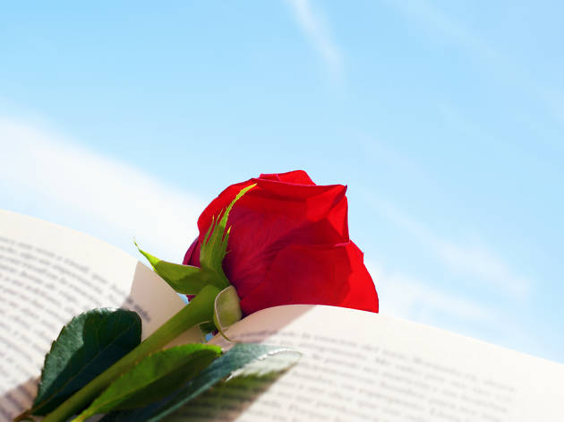 Sant Jordi Sant Jordi