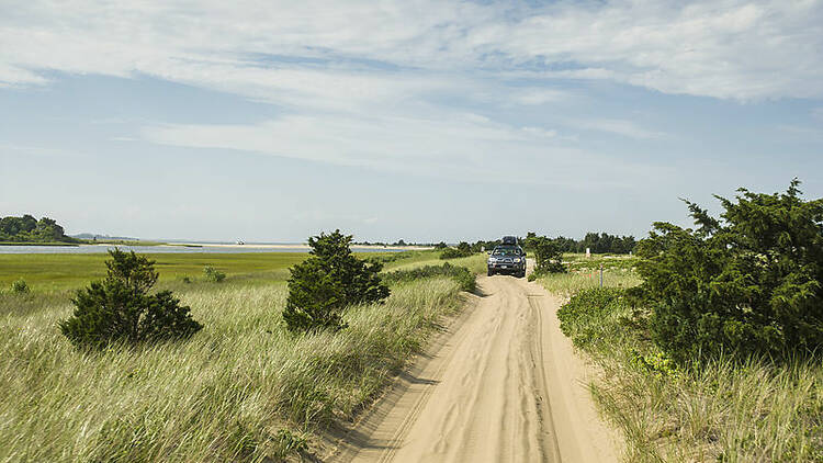 Edgartown, Martha's Vineyard, MA