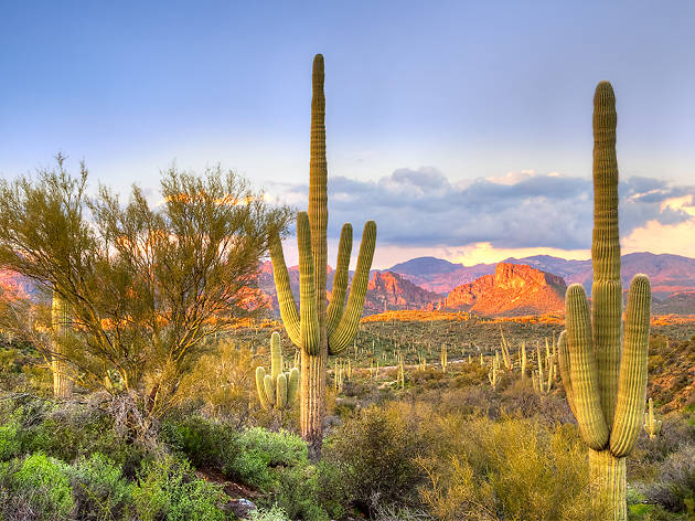 Tucson, Arizona Tucson, Arizona
