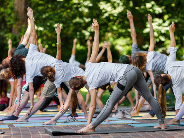 Yoga Yoga