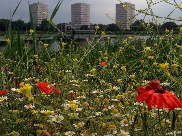 Five places that’ll leave you pining for summer Five places that’ll leave you pining for summer