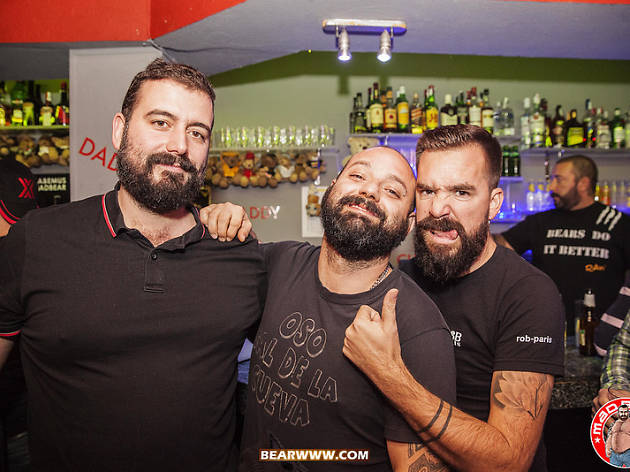 Bears Bar Bears Bar