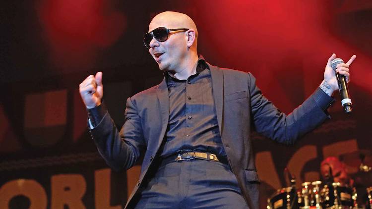 Pitbull live in Concert