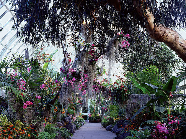 New York Botanical Garden New York Botanical Garden