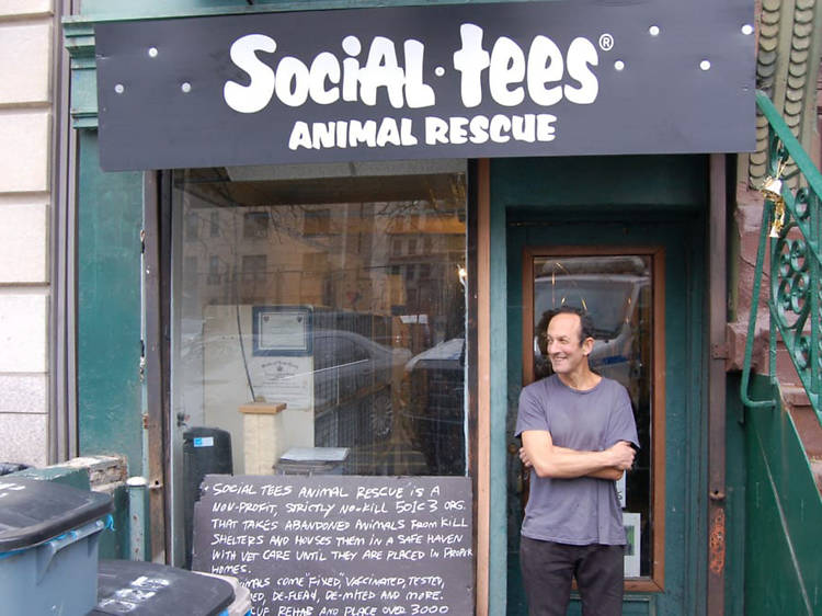 Social Tees Animal Rescue