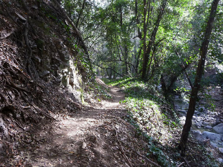 Hit the trails on a mountain bike adventure