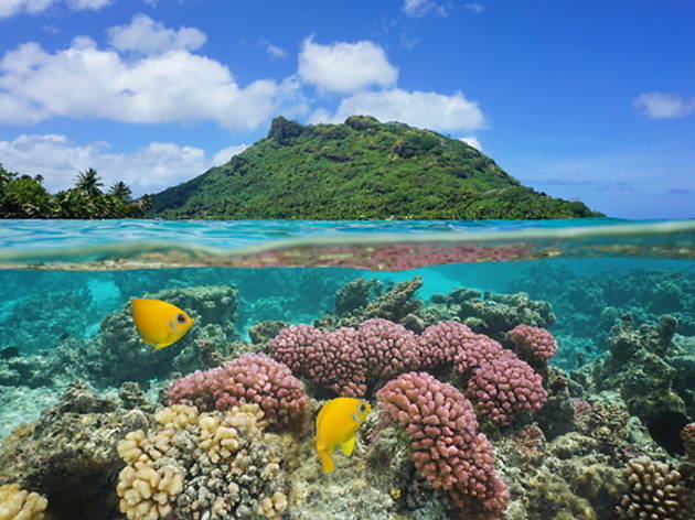 Huahine, Polinèsia Francesa Huahine, Polinèsia Francesa