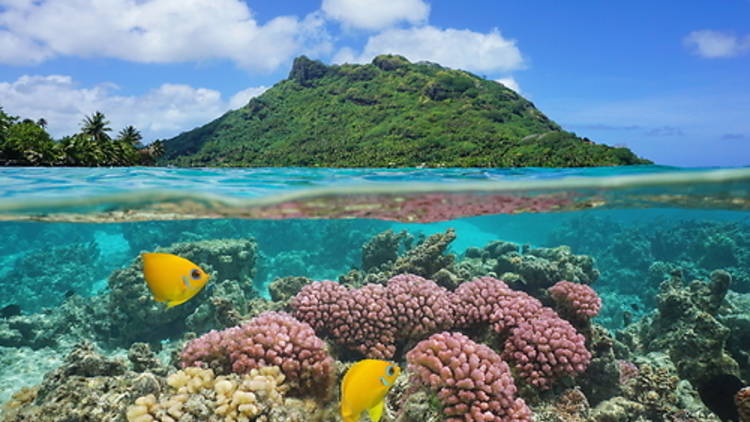 Huahine, Polinèsia Francesa