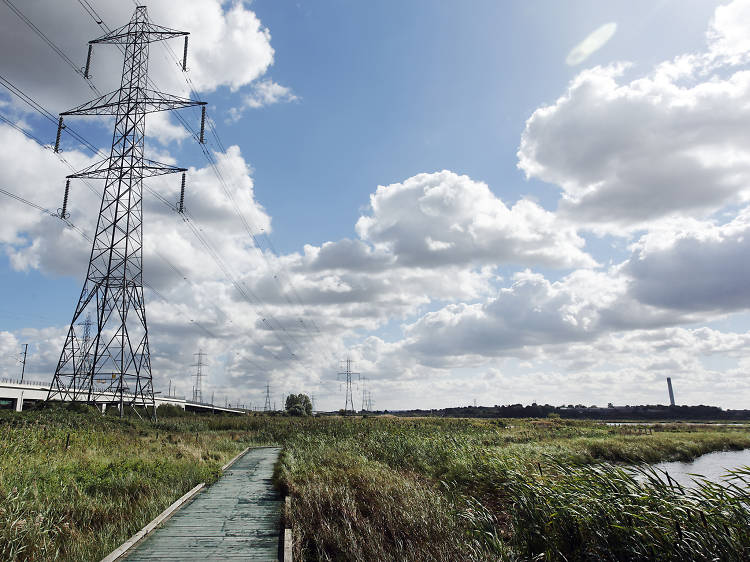 Rainham Marshes