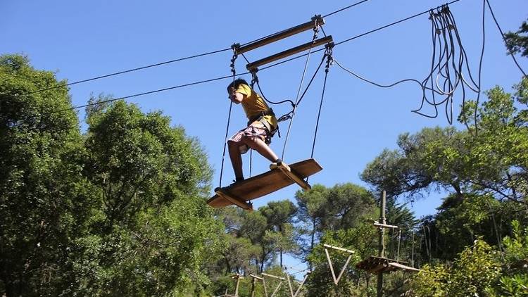 Fazer arborismo no Parque Palmela