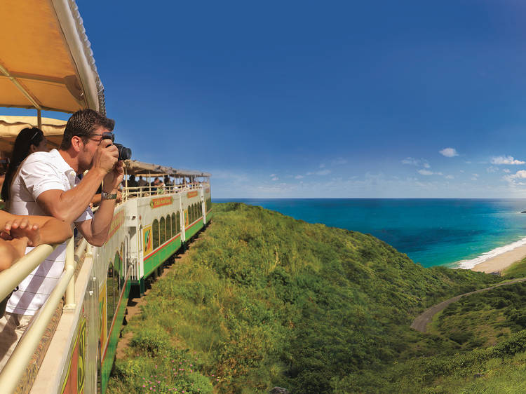 The Scenic Railway 'Sugar Train'