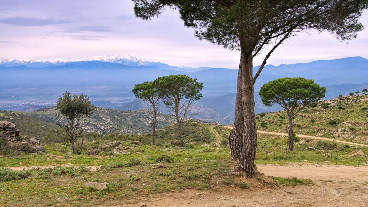 La ruta megalítica de Capmany