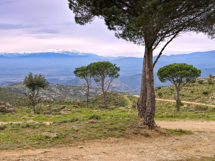 La ruta megalítica de Capmany