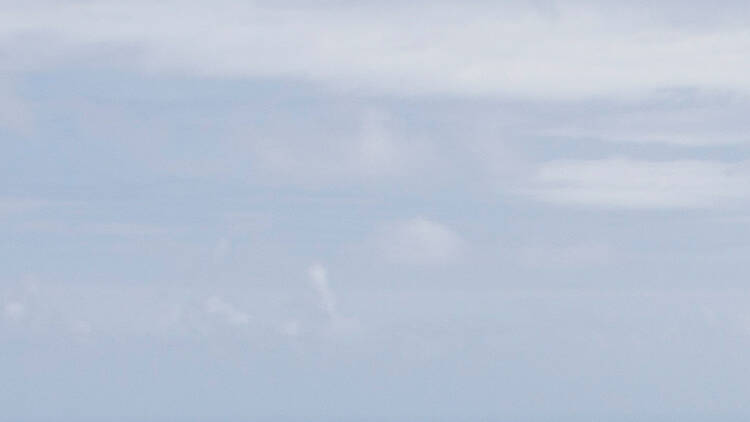 Main Ridge Rainforest Reserve