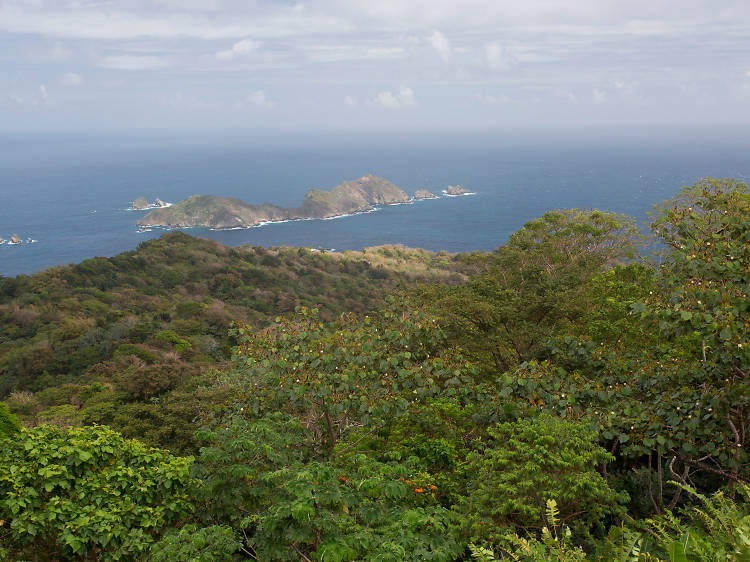 Main Ridge Rainforest Reserve