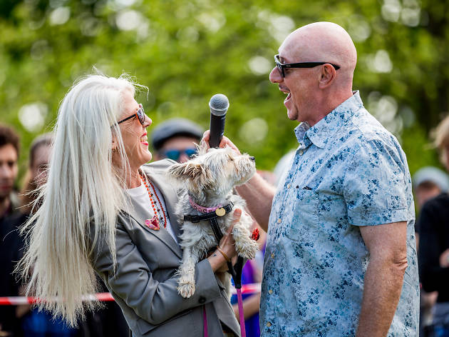 The Great Hampstead Bark Off 2017 The Great Hampstead Bark Off 2017