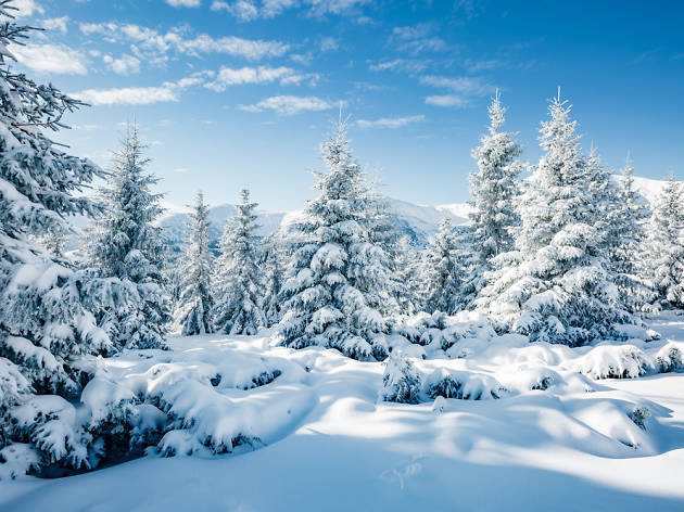 Els Alps Els Alps