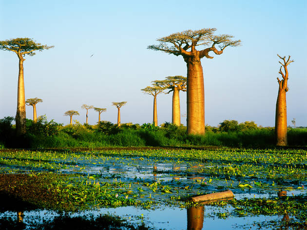 Madagascar Madagascar
