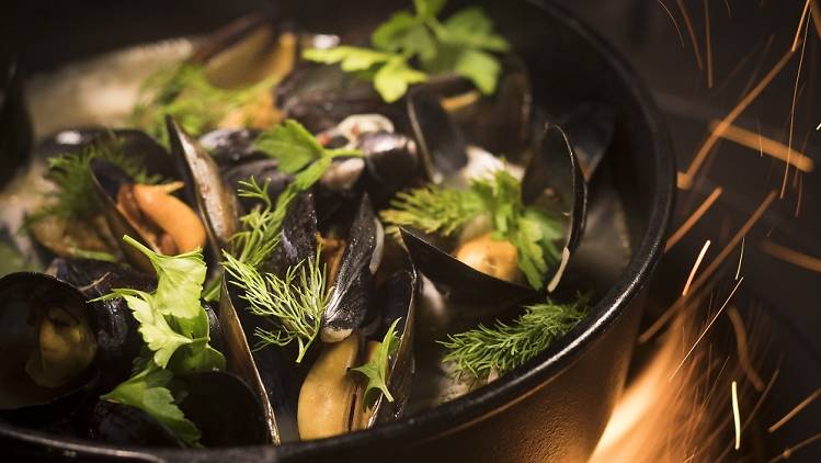 Norwegian blue mussels