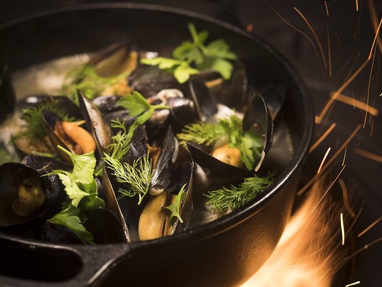 Norwegian blue mussels