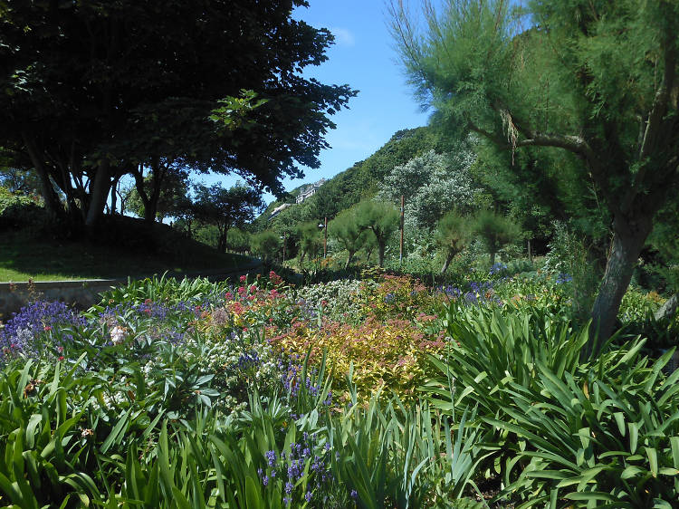 Lower Leas Coastal Park