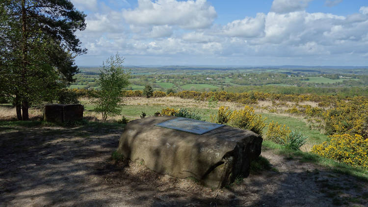 Winnie-The-Pooh Walks in Ashdown Forest