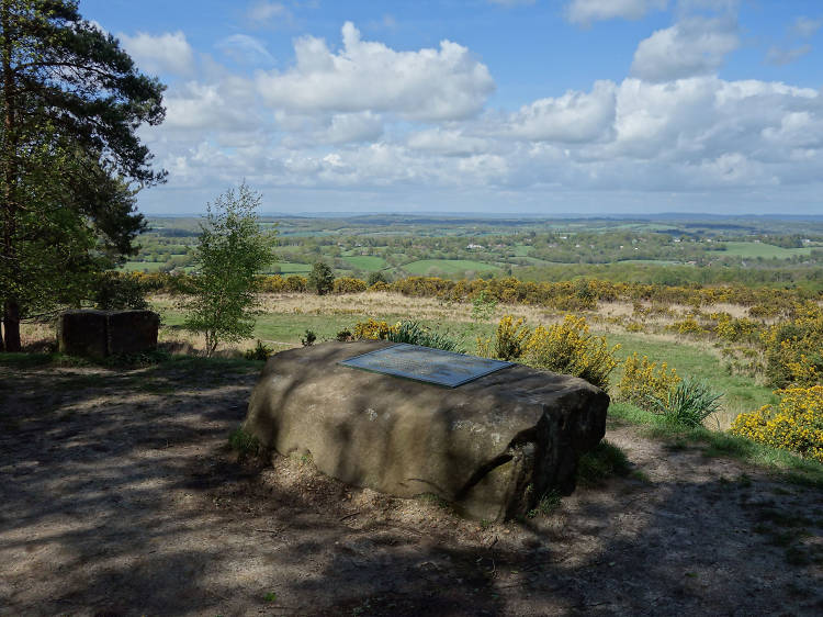 Winnie-The-Pooh Walks in Ashdown Forest