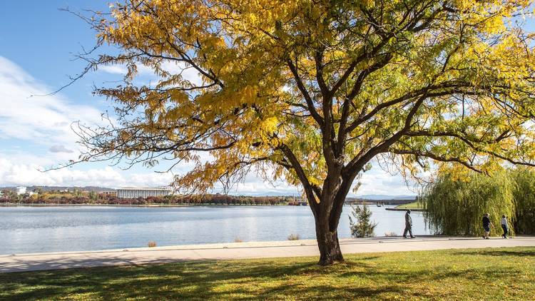 Walk Lake Burley Griffin