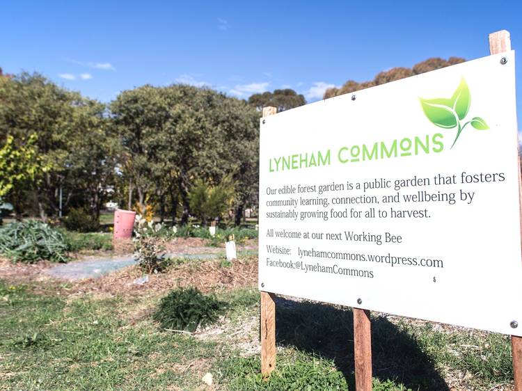 Lyneham Commons