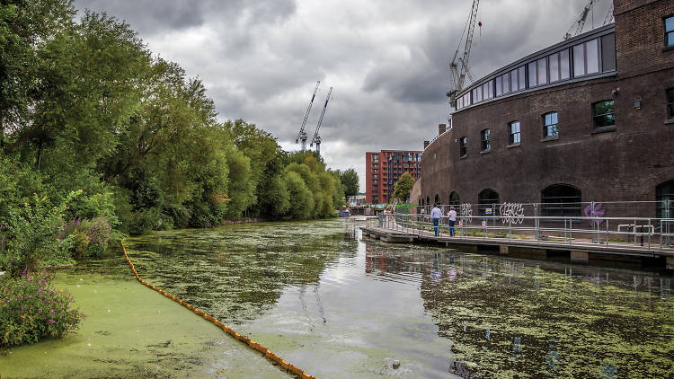 Camley Street Natural Park