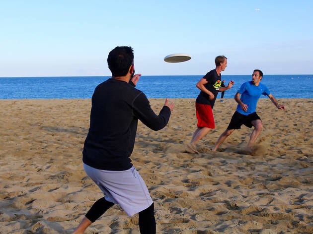 Frisbee Frisbee
