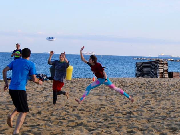 Frisbee Frisbee