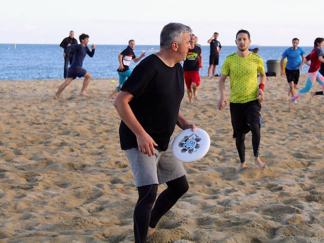 Frisbee Frisbee