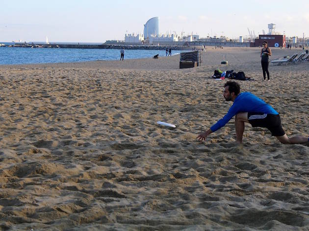 Frisbee Frisbee