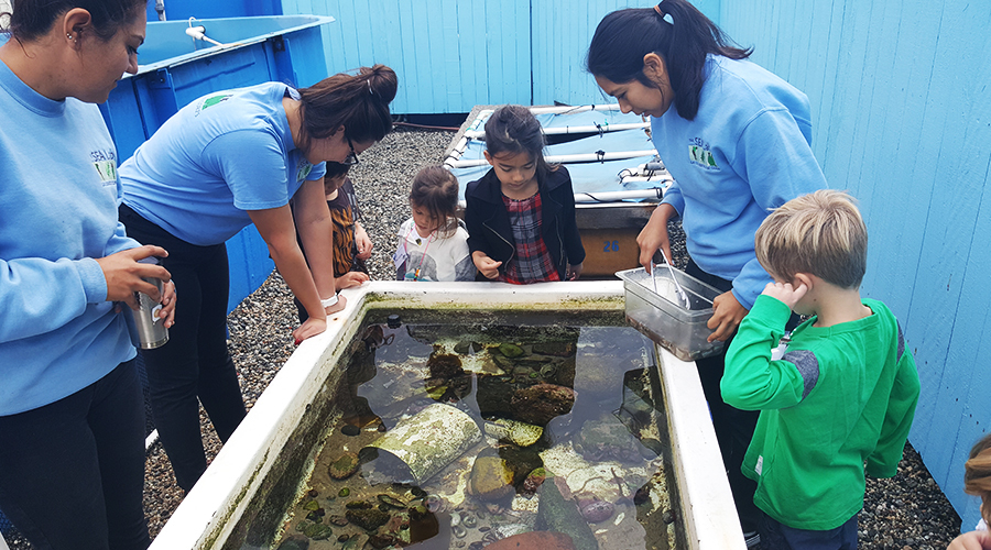 Exploring Sea Lab Redondo Beach: A Coastal Adventure